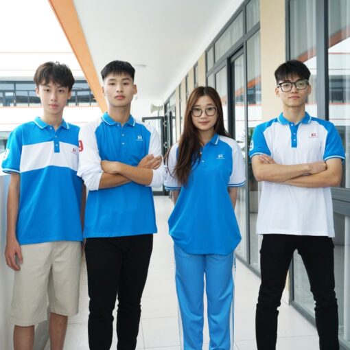 Áo POLO cộc tay 2 - Hình ảnh 4